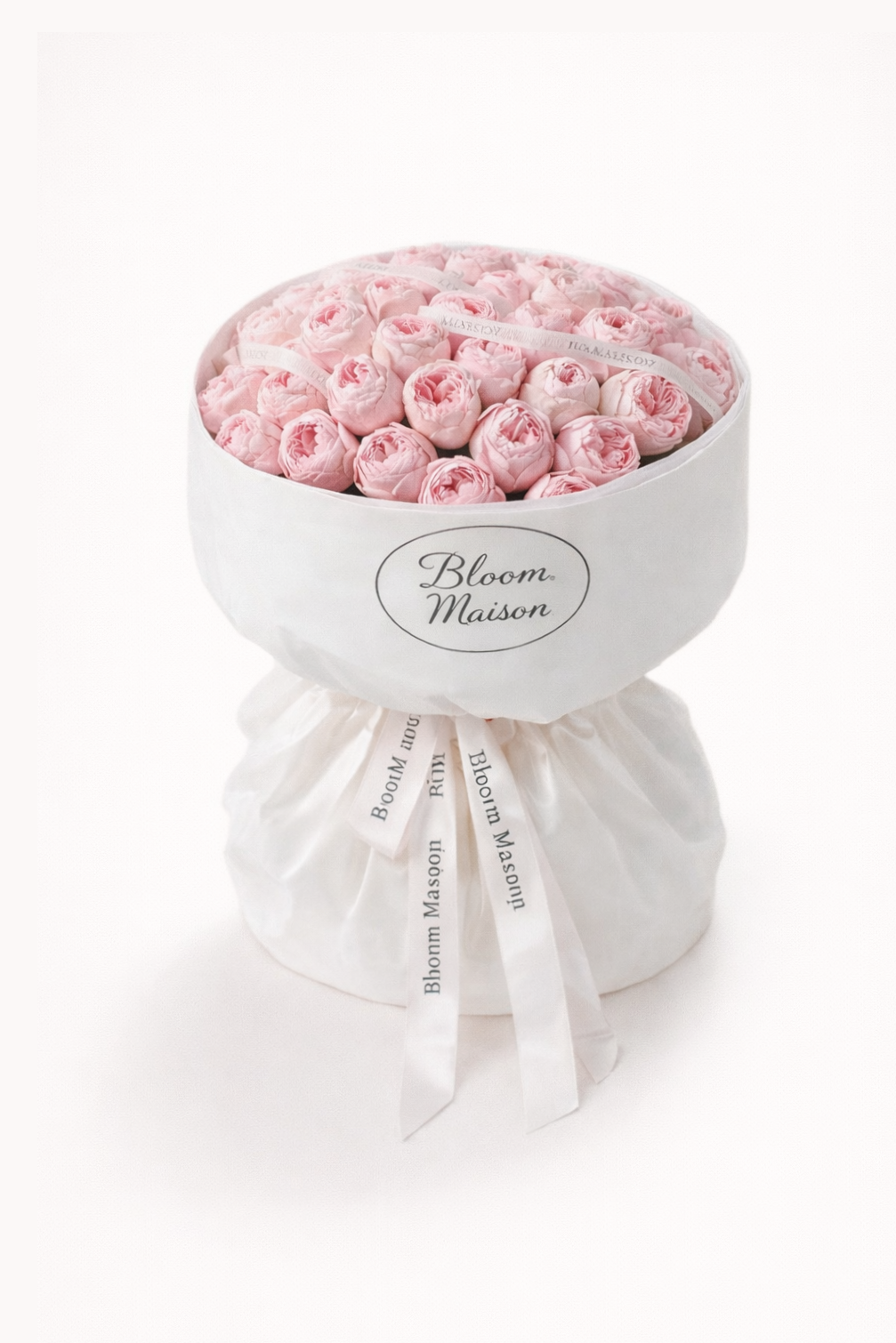 Ballet Pink Rose