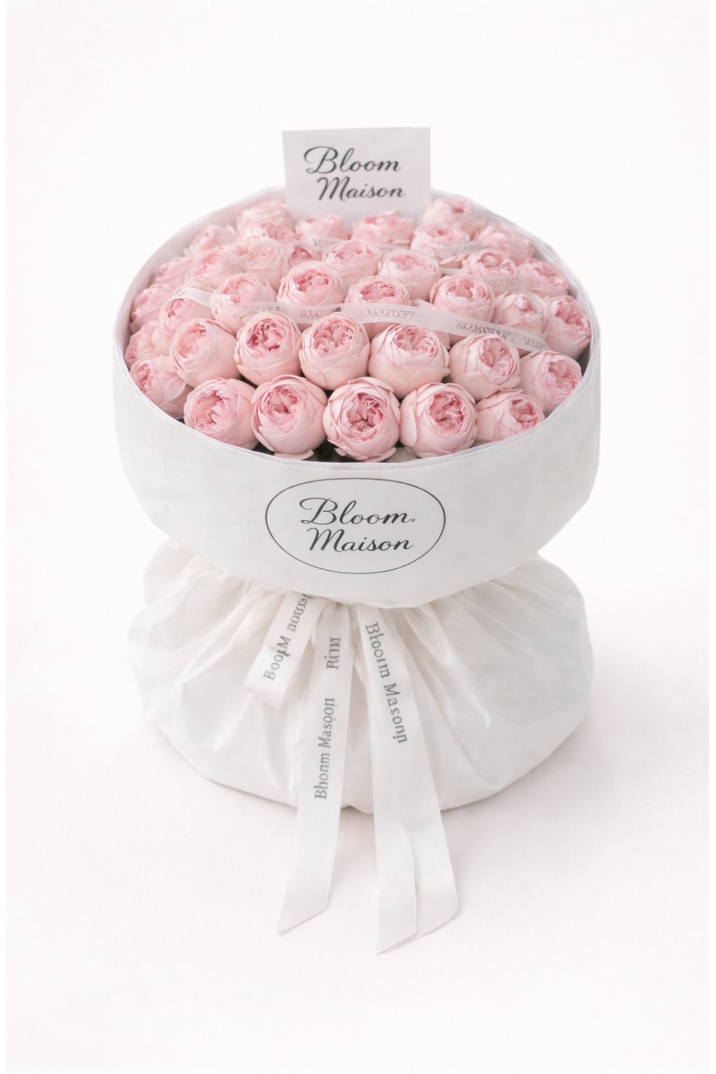 Ballet Pink Rose